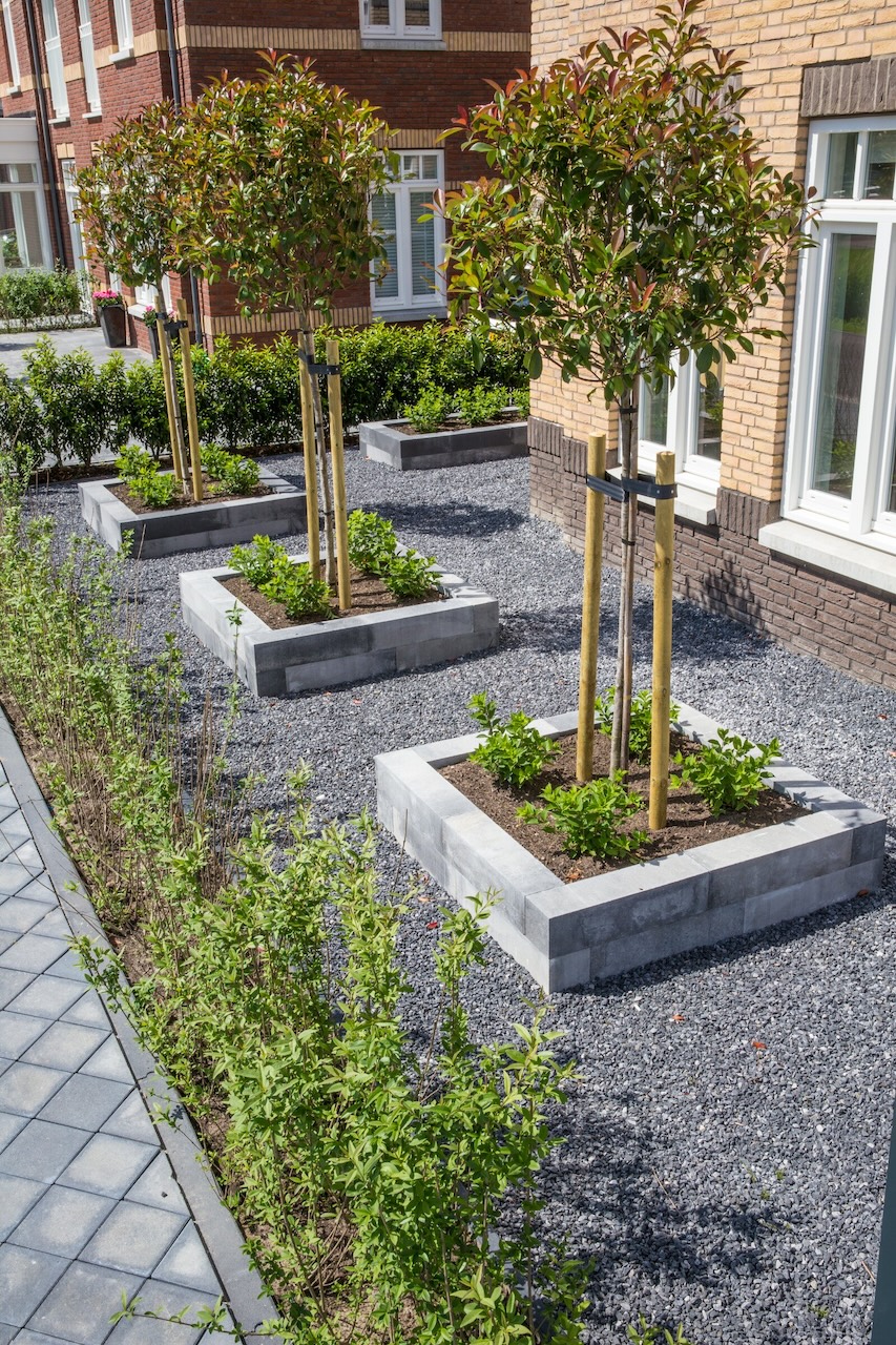 Achtertuin renoveren