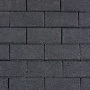 8233_ 029