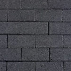 8233_ 029
