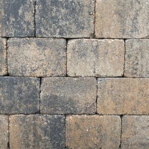 a51651-antieke-trommel-21x14x7-cm-musselkalk[1]