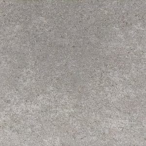a73151-traptrede-100x35x15-cm-stone-grey-kleurecht-met-facet[1]